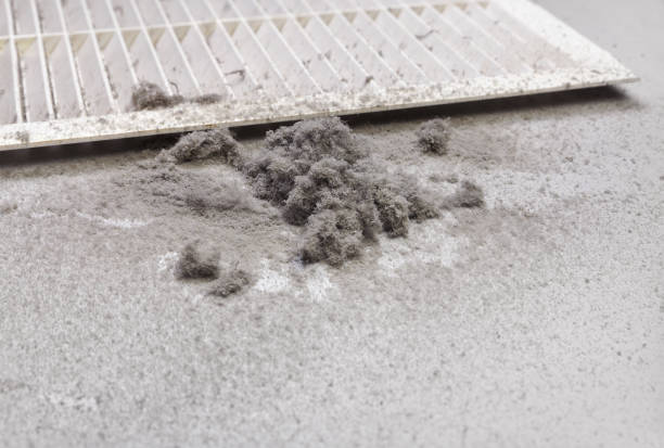 Best Air Duct Cleaning Near Me  in Lake Ozark, MO