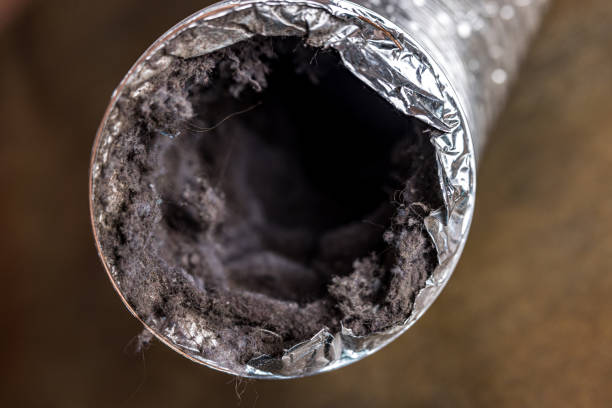 Best Affordable Air Duct Cleaning  in Lake Ozark, MO
